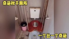 重庆一景区设秋千厕所