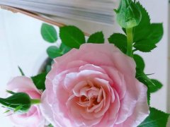 2026年3月最吉利的日子