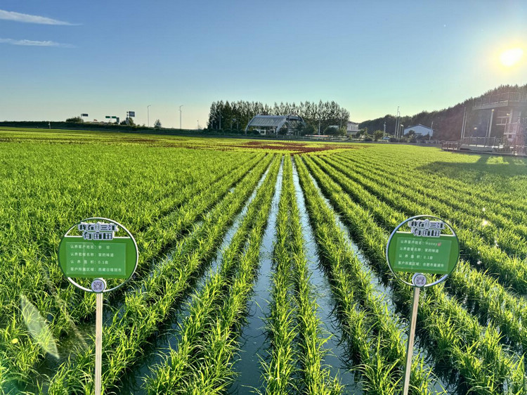 央视曝光:7亿建的农业基地不干农业