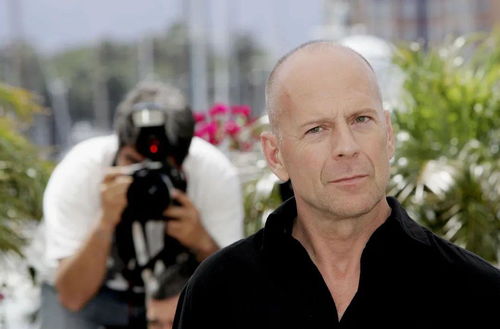 阿拉莫泥龟属于什么品种?有哪些生活习性呢? 阿拉莫泥龟属于什么品种?有哪些生活习性呢?