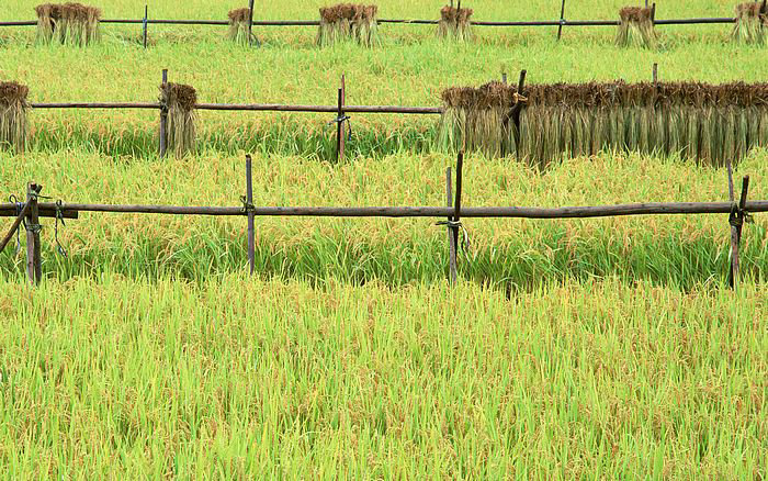 世界上为什么会有灵异事件