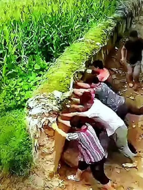 木星表面流动的气流已深入内部 比此前预期更复杂! 木星表面流动的气流已深入内部 比此前预期更复杂!