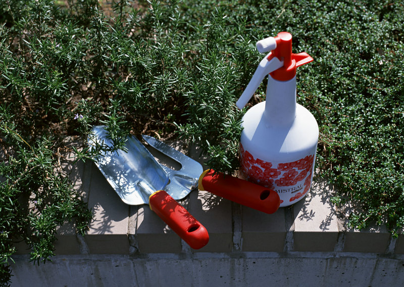 上海为什么叫魔都 上海为什么叫魔都