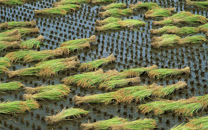 笑对失败的名言