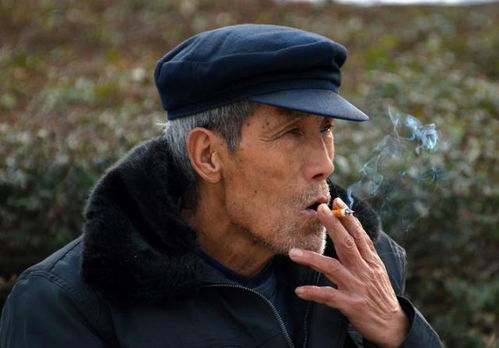 东南卫视美女杨洋个人信息