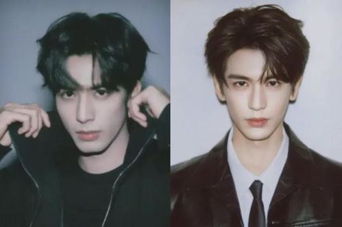 西藏矿产 西藏矿产分布图