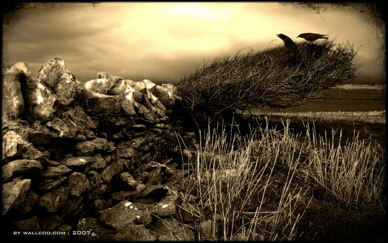 陈乔恩微博陈乔恩微博回应古天乐