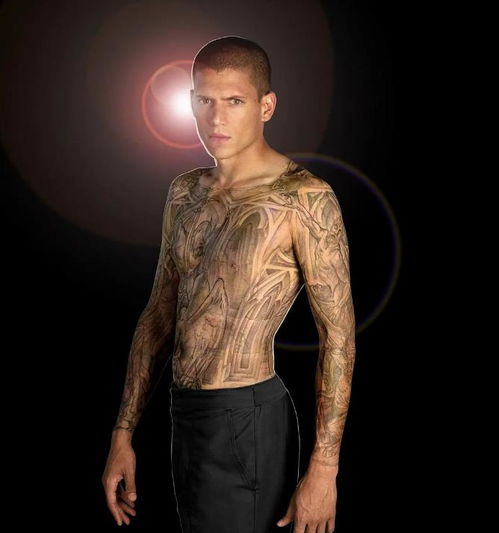 九凤是什么鸟九凤有什么标记意思 平安快乐的九