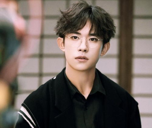 吴昊宸个人资料身高_吴昊辰个人资料