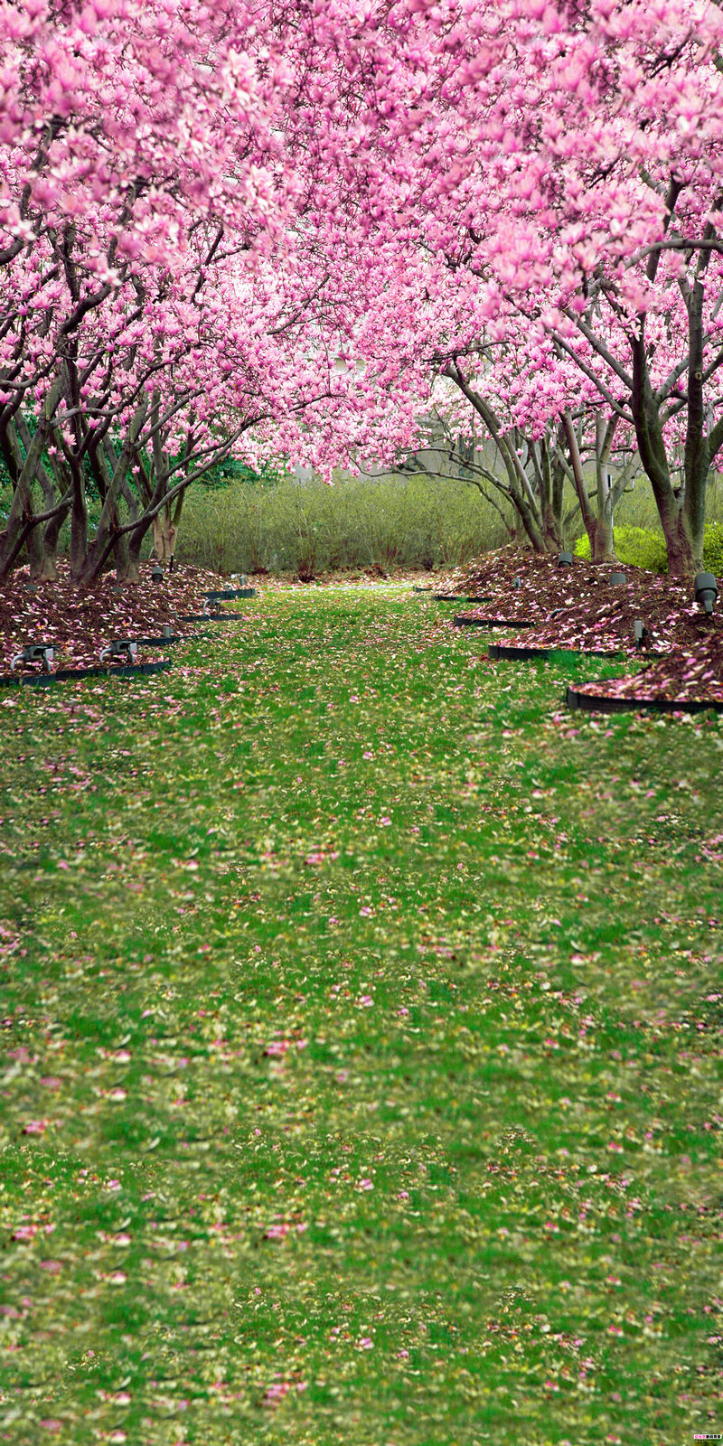 哪个国家的慈善世界最出名 