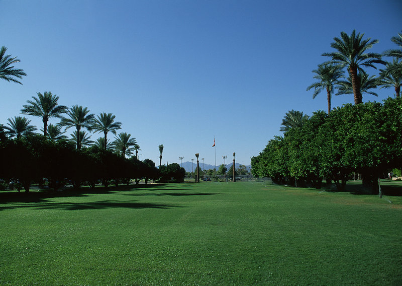 美联社两大评论员预测奥斯卡大赢家现实需要