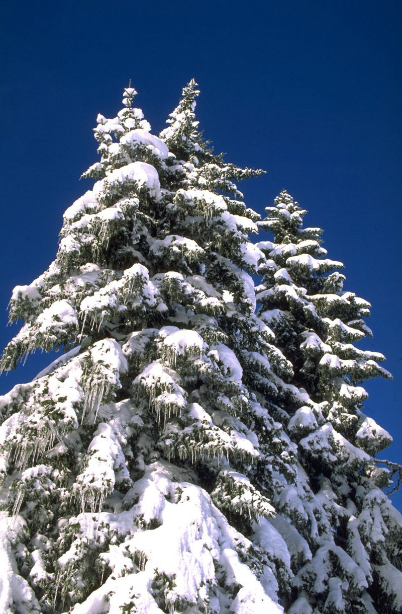 朴正雅在哪集里面有—朴正焕是什么电视剧