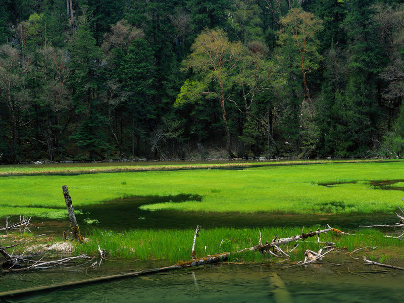 60岁张卫健和51岁林志颖合体 或将再次同台演出