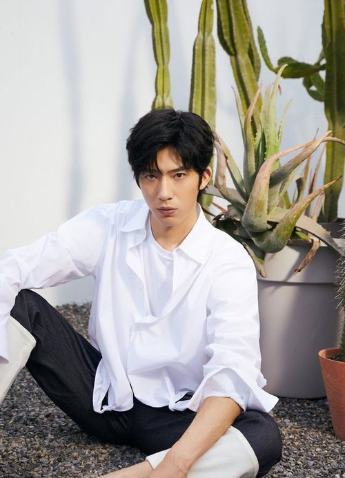 天天向上澳洲姐妹花_wayv天天向上