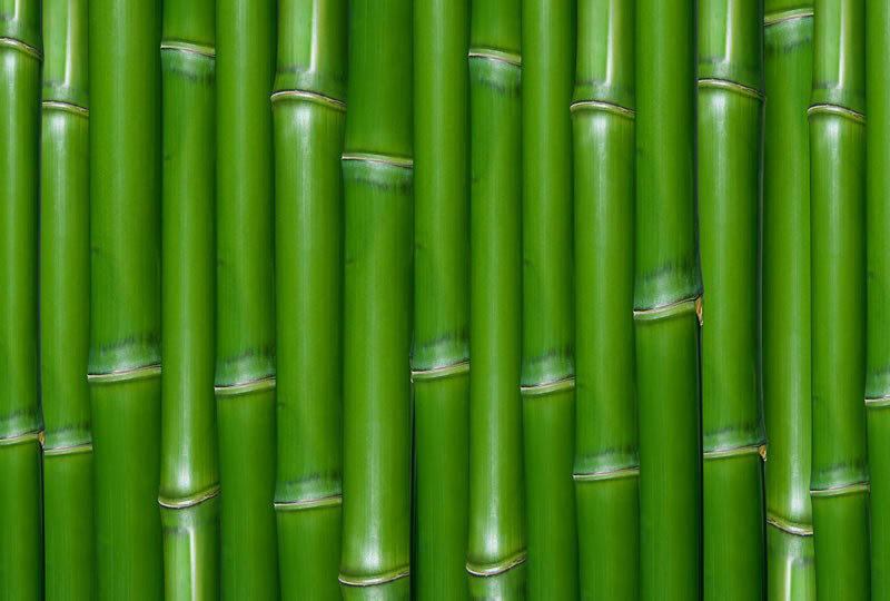 世界大米最平的国家 世界最大的大米生产国家