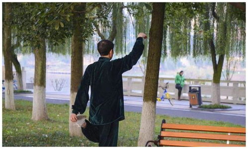 陆小风传奇 陆小风传奇之绣花大盗