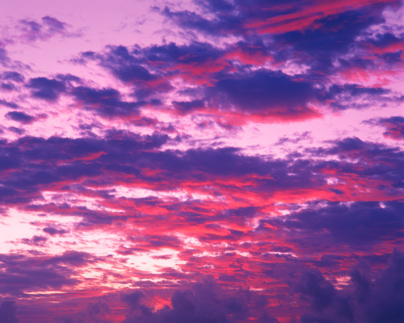 孢子进化手机游戏 孢子进化手机游戏