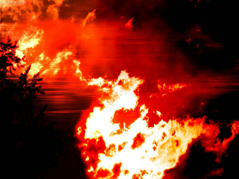 老公破产而被迫复出的十大女星家居照(图)