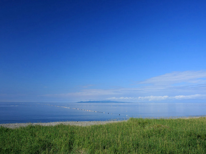 贾晓晨是香港人吗(香港TVB十大帅哥 美女是哪些 贾晓晨是香港人吗(香港TVB十大帅哥 美女是哪些
