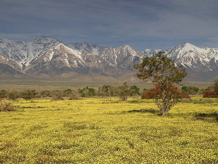 奥拉夫无限火力出装 奥拉夫无限火力出装