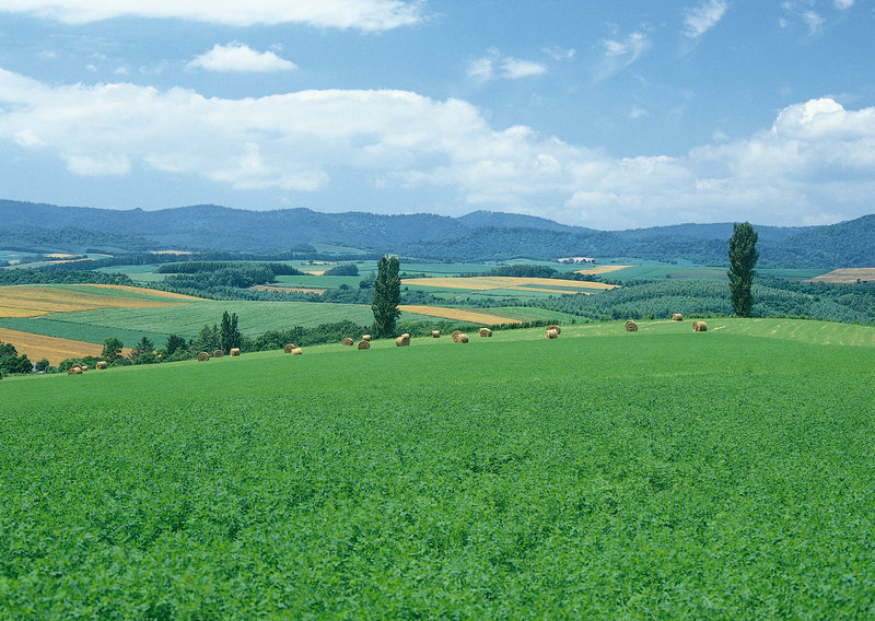 卫子夫是如何失势的？卫家为何被灭族？
