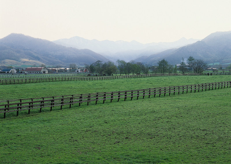 陶谷事是什么人 陈桥驿兵变他扮演着什么角色