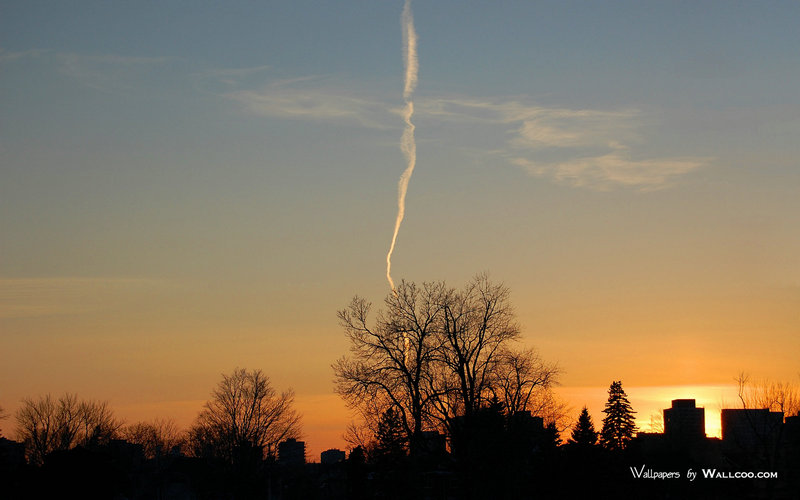 谭咏麟多大_谭咏麟好多岁