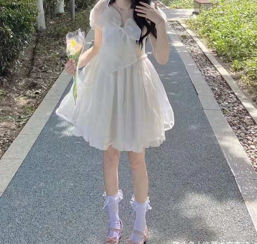 熊出没全集100集免费