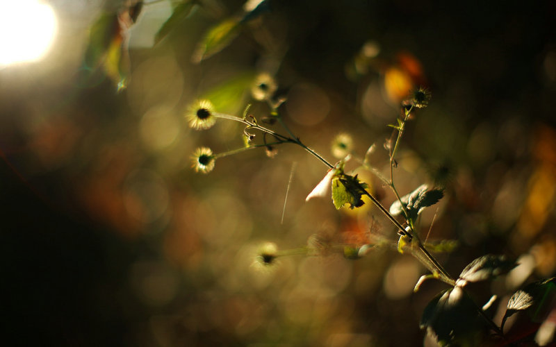刘德华遭抖音处罚刘德华抖音破纪录