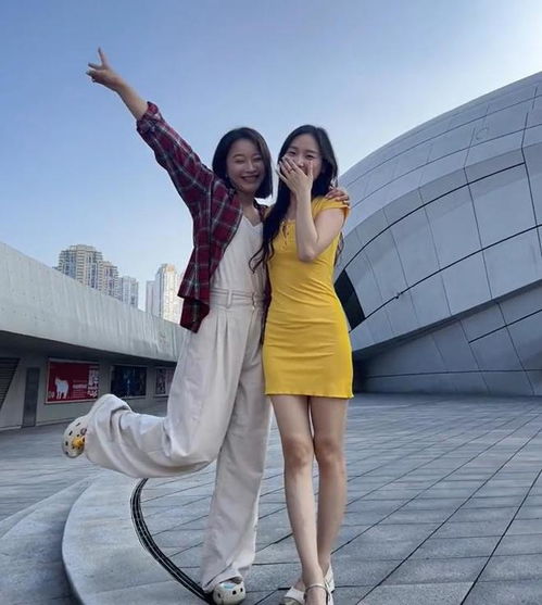 刘海龙事件进展 刘海龙事件其它人怎么判