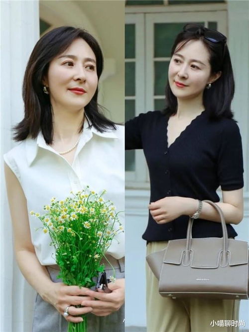 春来定风波电视剧免费观看