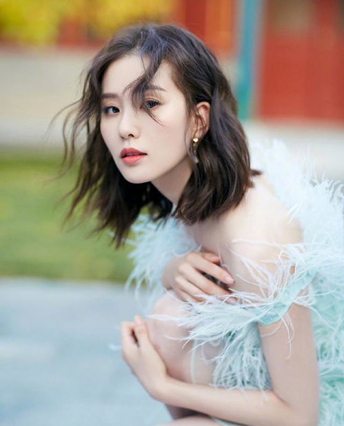 王安石推行变法的具体经过是怎么样的 王安石推行变法的具体经过是怎么样的