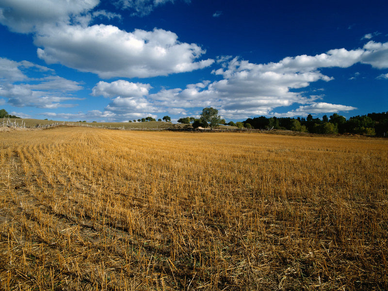 盛超个人资料简介结婚 盛超个人资料简介结婚