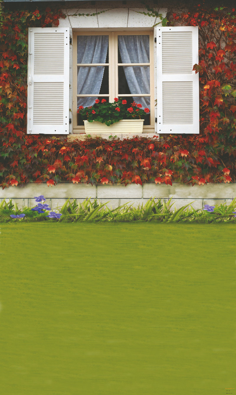 吴昕2024年结婚了吗