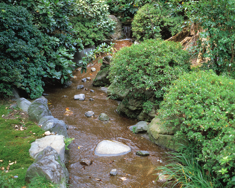 黑糖玛奇朵1 黑糖玛奇朵1 40集全免费