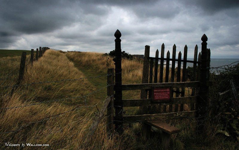 泰囧人妖_泰囧人妖经典语录图片