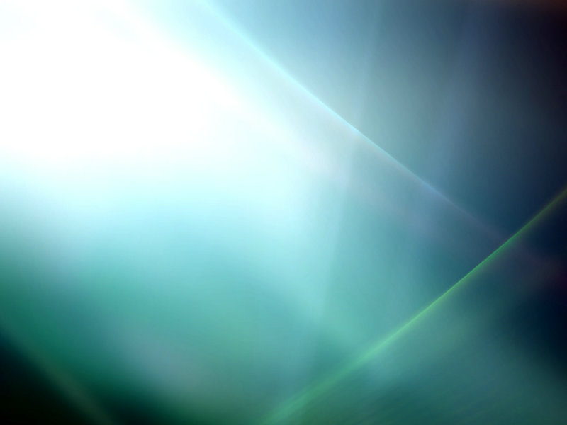 寻找最早的鸟儿