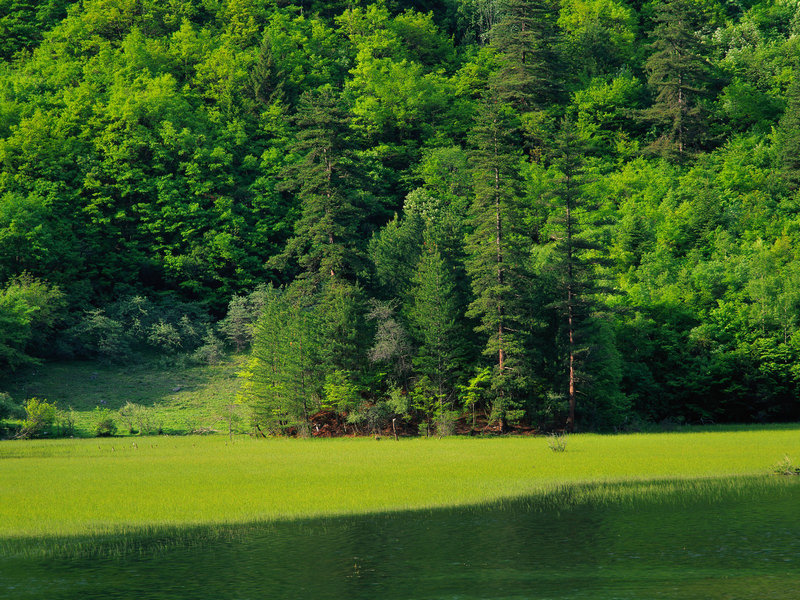 江西师范高等专科学校