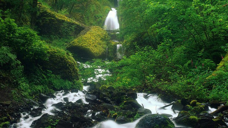 优劣之分的同义词有哪些(劣势的同义词是什么 优劣之分的同义词有哪些(劣势的同义词是什么