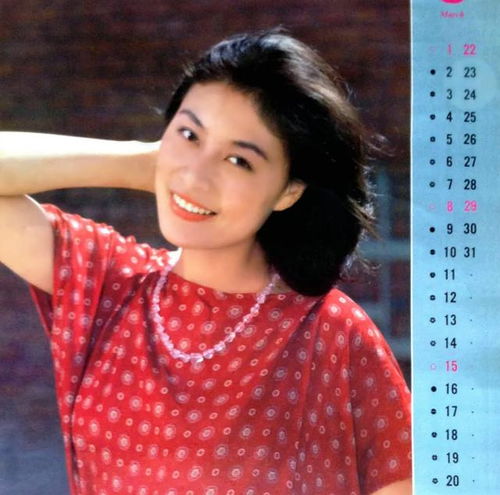 深圳搬家费用_深圳搬家服务费用