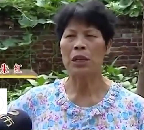 66岁倪萍身家过亿难买儿媳 儿子放狠话宁可打光棍也不结婚