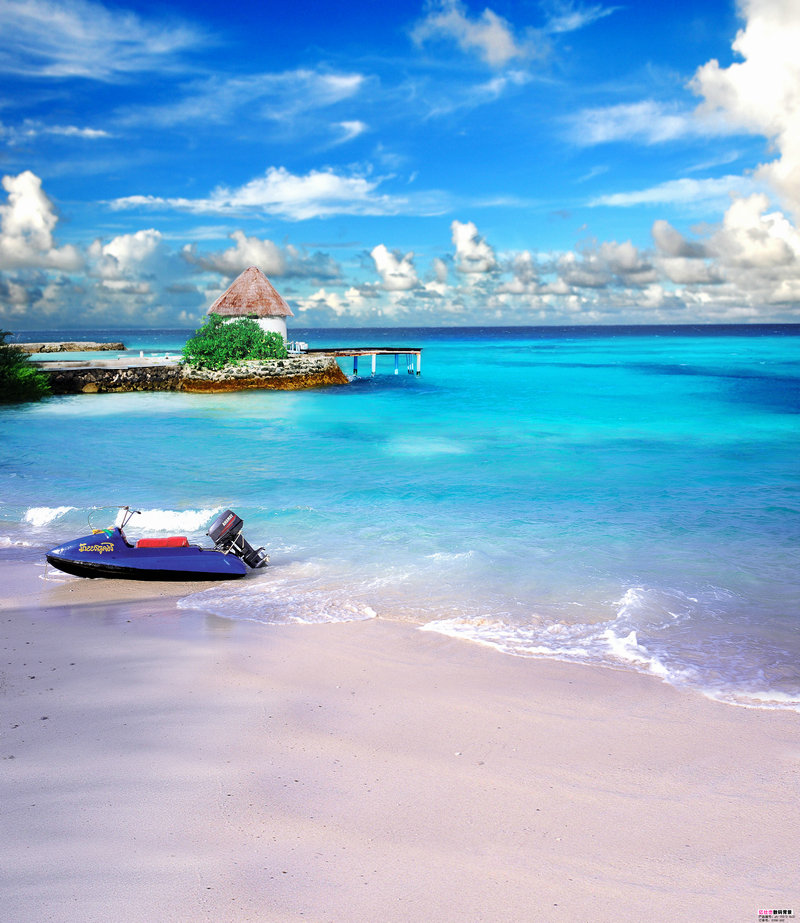 护士夏子之热情夏日,护士夏子的热情夏天叫什么 护士夏子之热情夏日,护士夏子的热情夏天叫什么