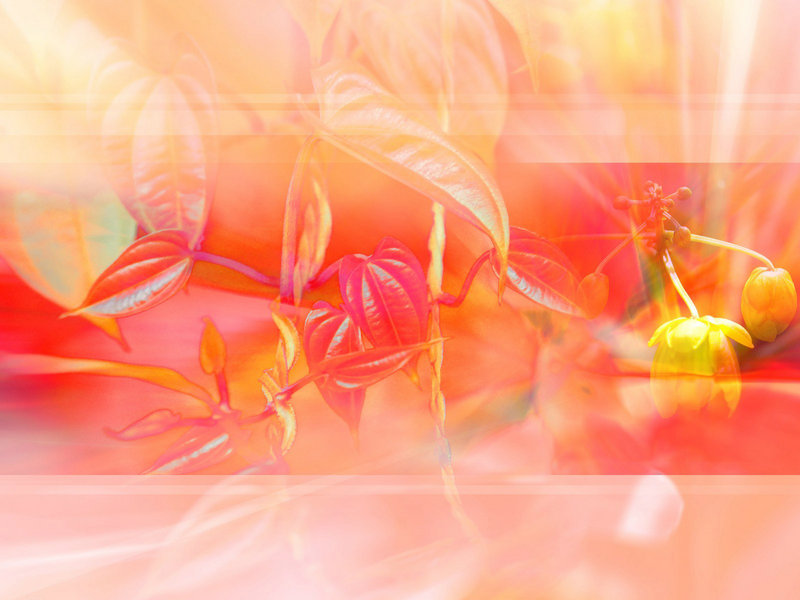 杜海涛个人资料血型—杜海涛资料个人资 杜海涛个人资料血型—杜海涛资料个人资