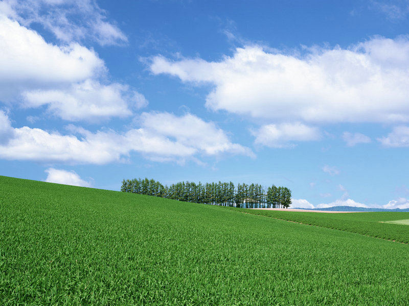 民间十大辟邪神物,阳刚之气亦能辟邪! 民间十大辟邪神物,阳刚之气亦能辟邪!