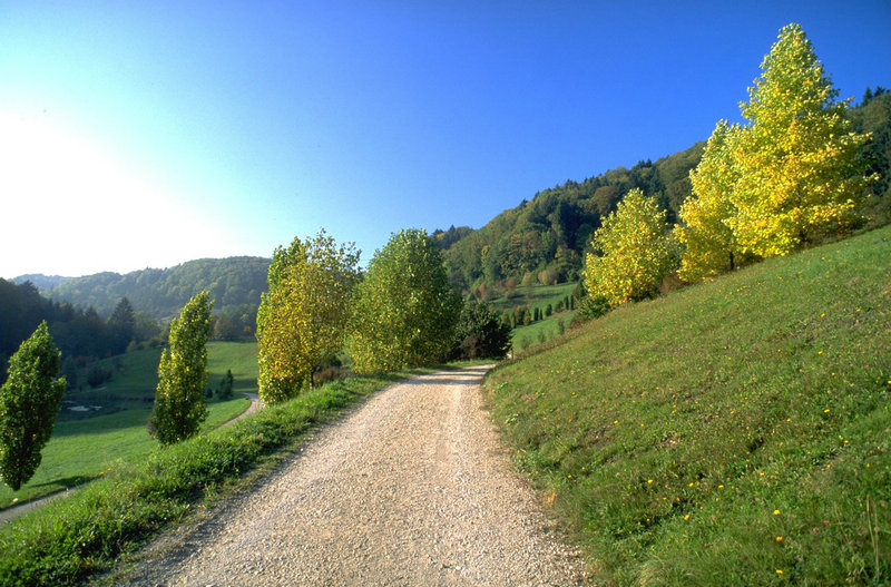 江蕙感情经历 江蕙有没有结婚