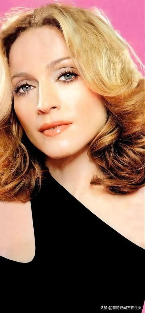 铁血奇兵电影,铁血奇兵电影在线观看免费版