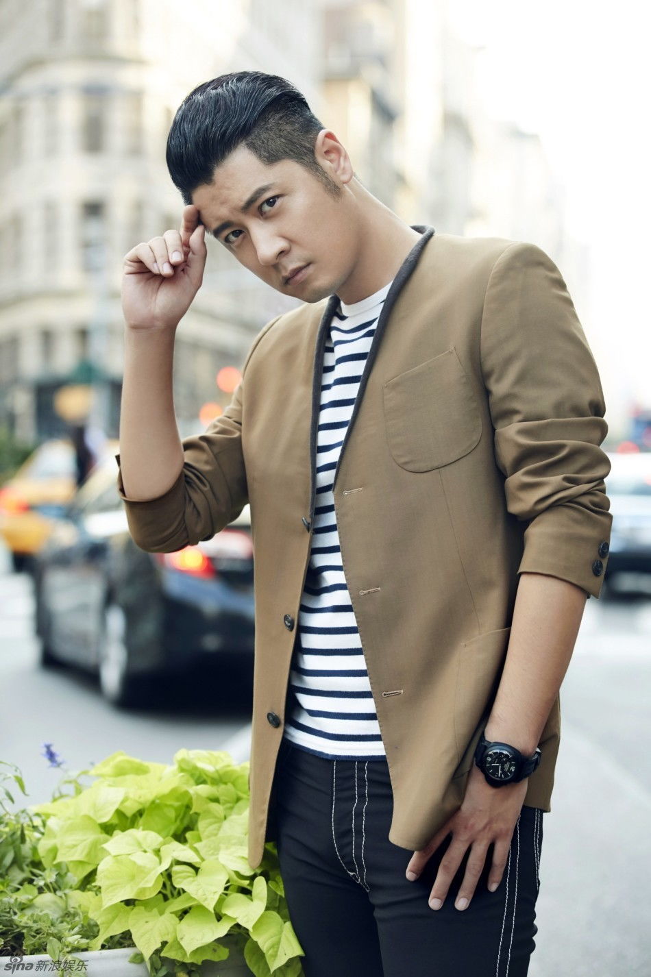 杨佑宁个人资料简历 灼灼韶华剧情介绍