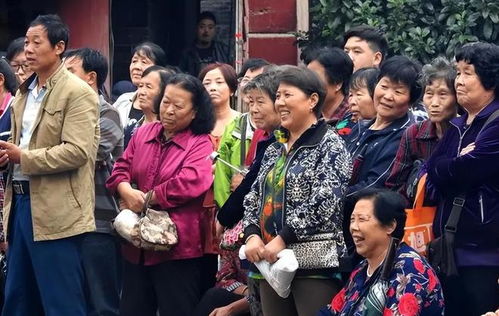 东来东往叫什么名字东来东往怎么了 东来东往叫什么名字东来东往怎么了