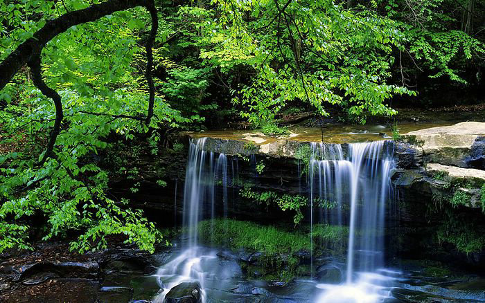 西晋历史中的淮南三叛的怎么回事 