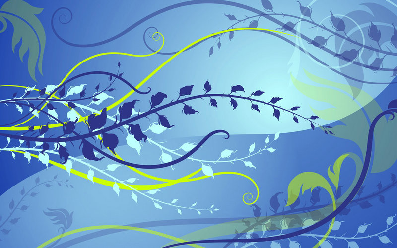 陕西一地给枯草喷颜料 当地回应为美观调配的营养液 陕西一地给枯草喷颜料 当地回应为美观调配的营养液